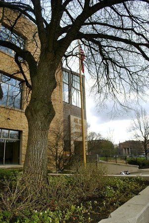 Oak Park Public Library